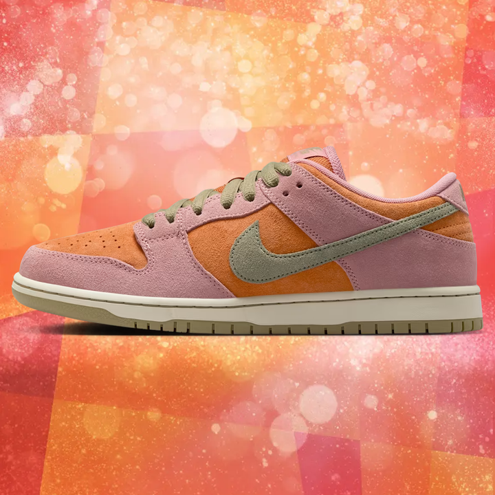 Nike SB Dunk Low Pro "Red Stardust" Skate Shoes
