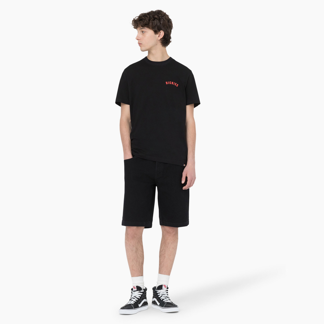 Dickies Skateboarding Wingville Loose Fit Shorts