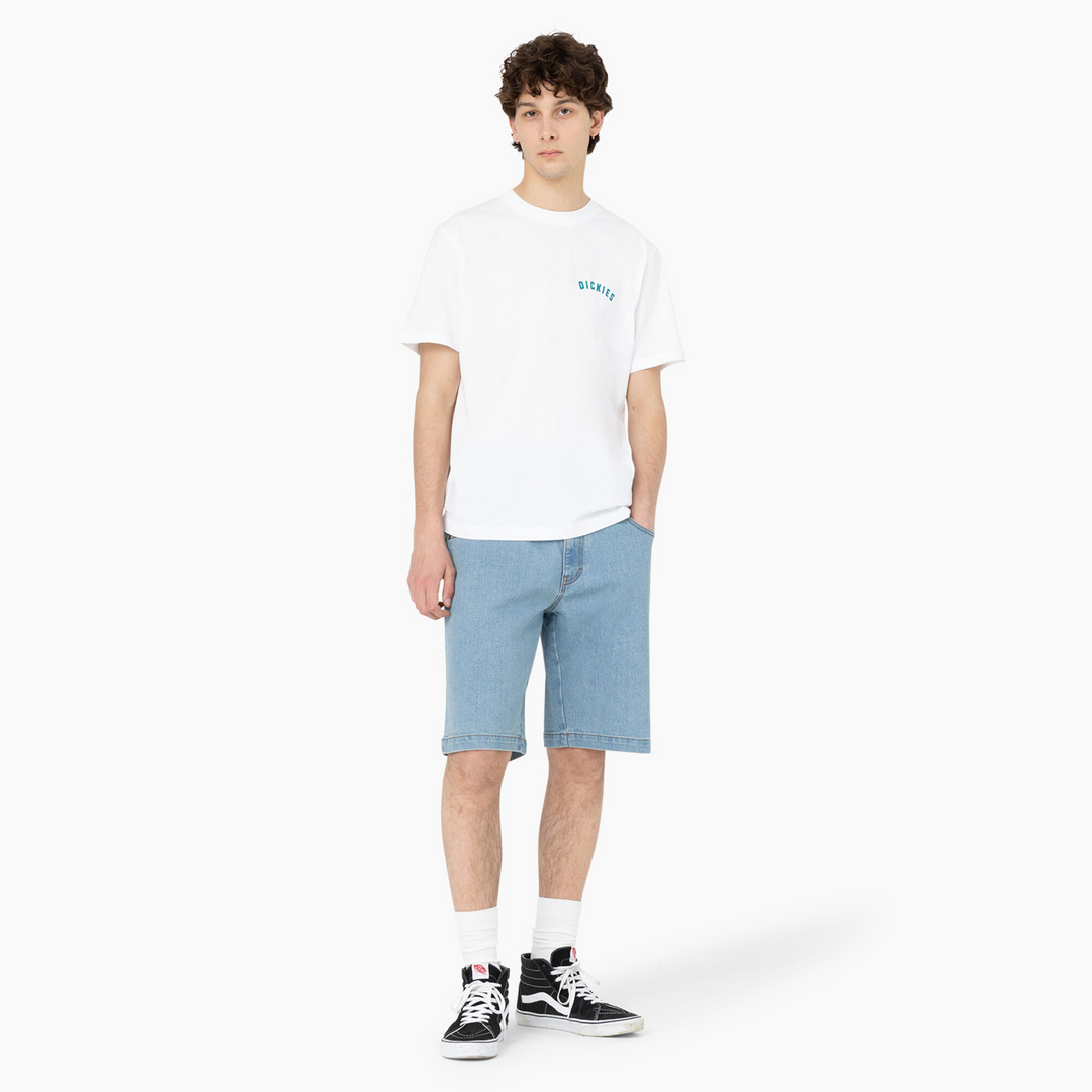 Dickies Skateboarding Wingville Loose Fit Shorts