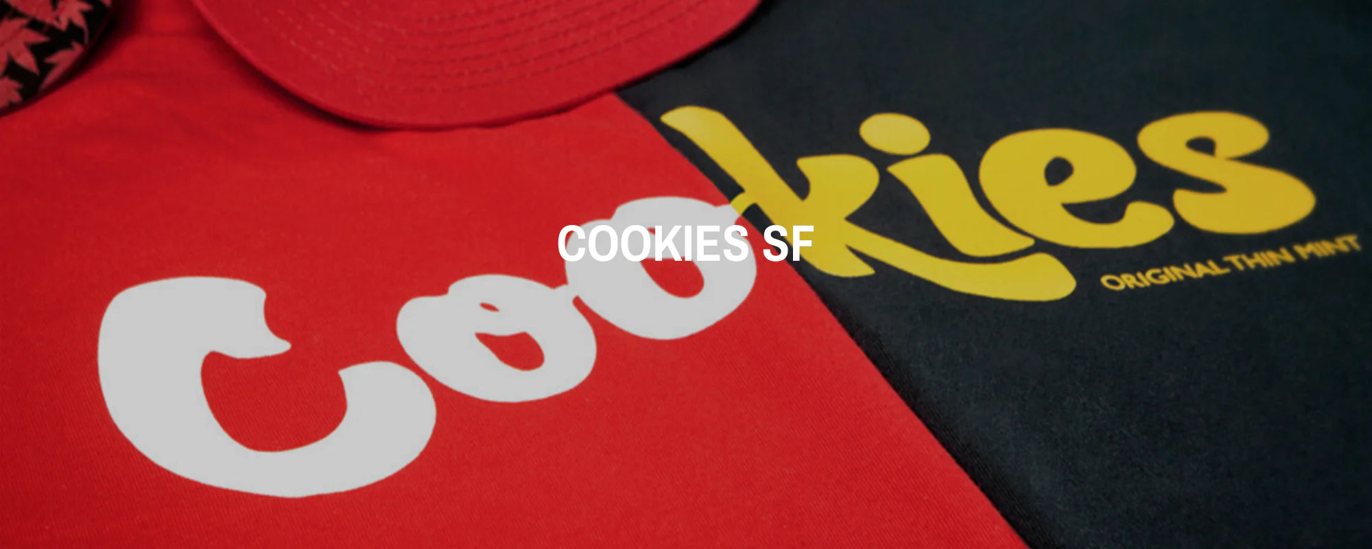 Nike SB Dunk Low Pro x Hayley Wilson Skate Shoes