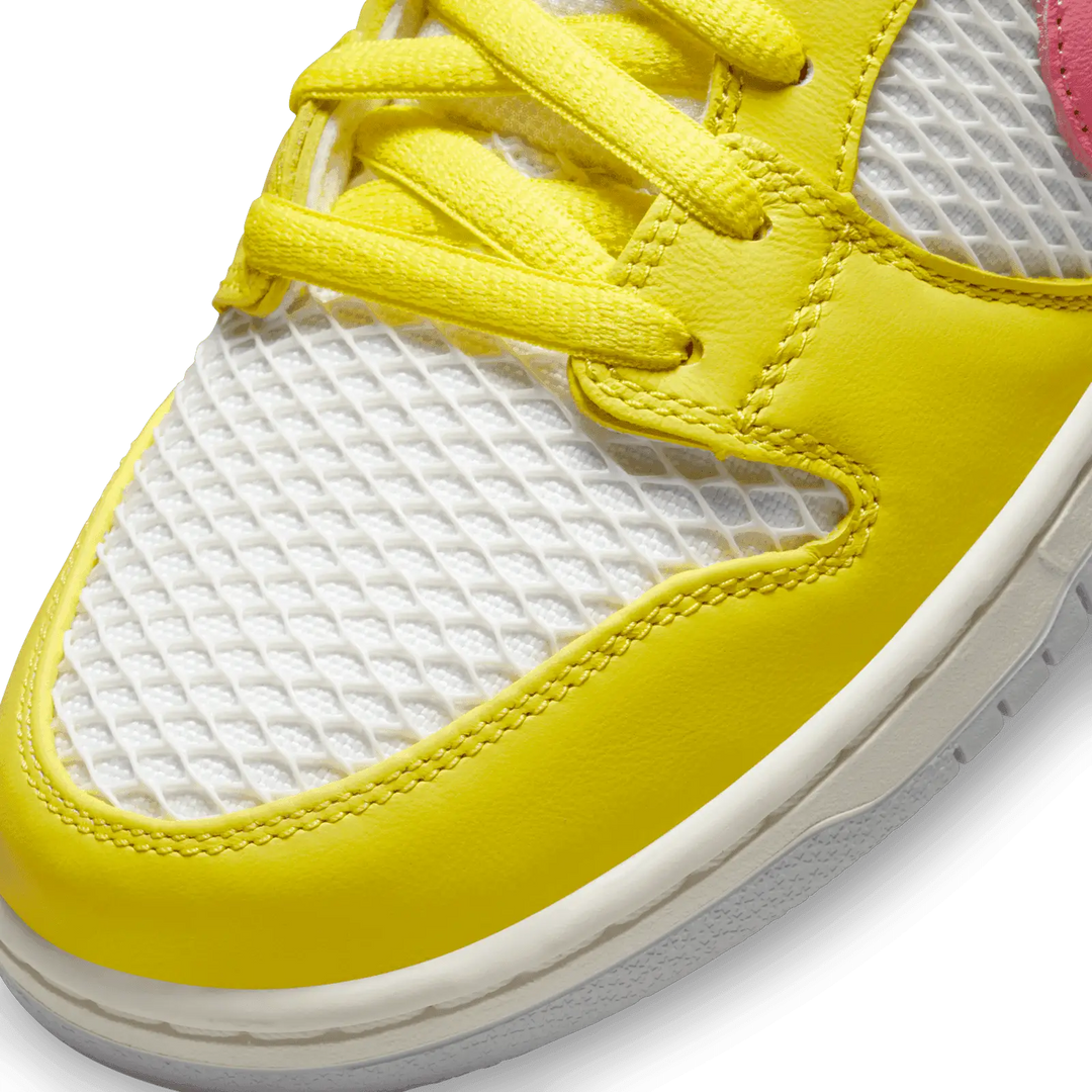 Nike SB Dunk Low Pro "Be True" Skate Shoes