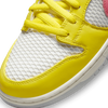 Nike SB Dunk Low Pro "Be True" Skate Shoes