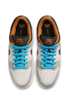 Nike SB Dunk Low Pro Electric Skate Shoes