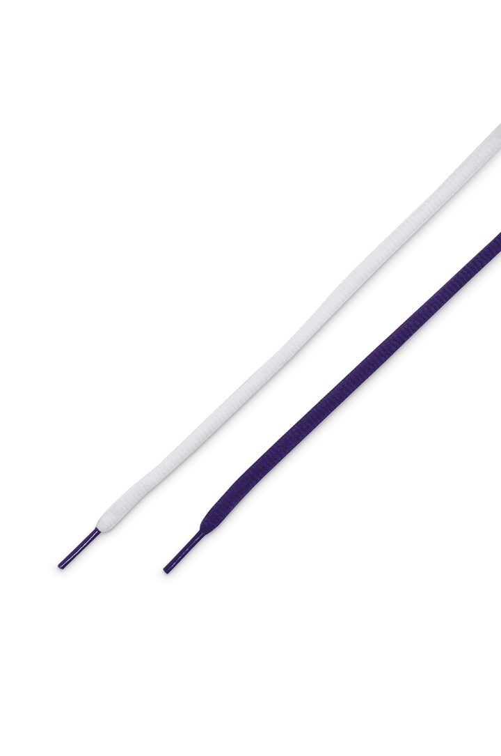 Nike SB Air max Ishod Premium "Billiards" Skate Shoes