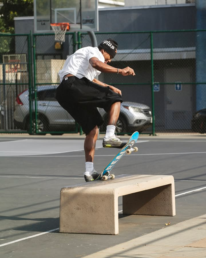 Nike SB Ishod Cargo Pants
