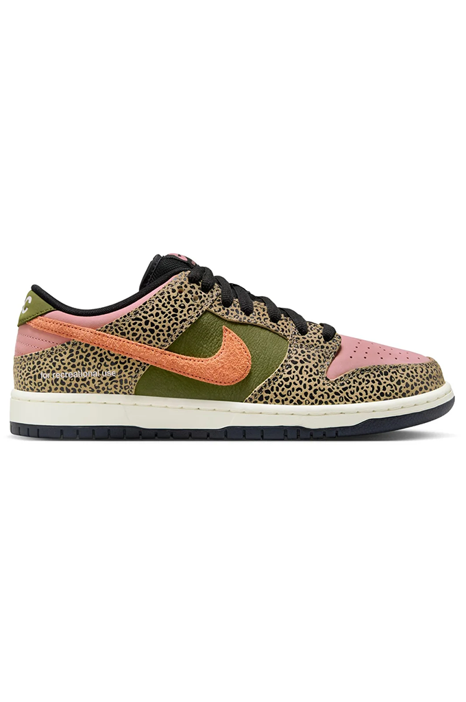 Nike SB Dunk Low Pro "Arts-Rec" Quick Strike Skate Shoes
