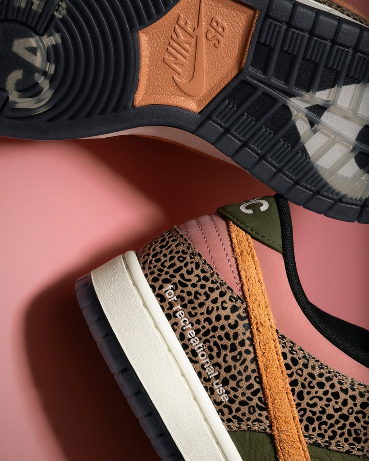 Nike SB Dunk Low Pro "Arts-Rec" Quick Strike Skate Shoes