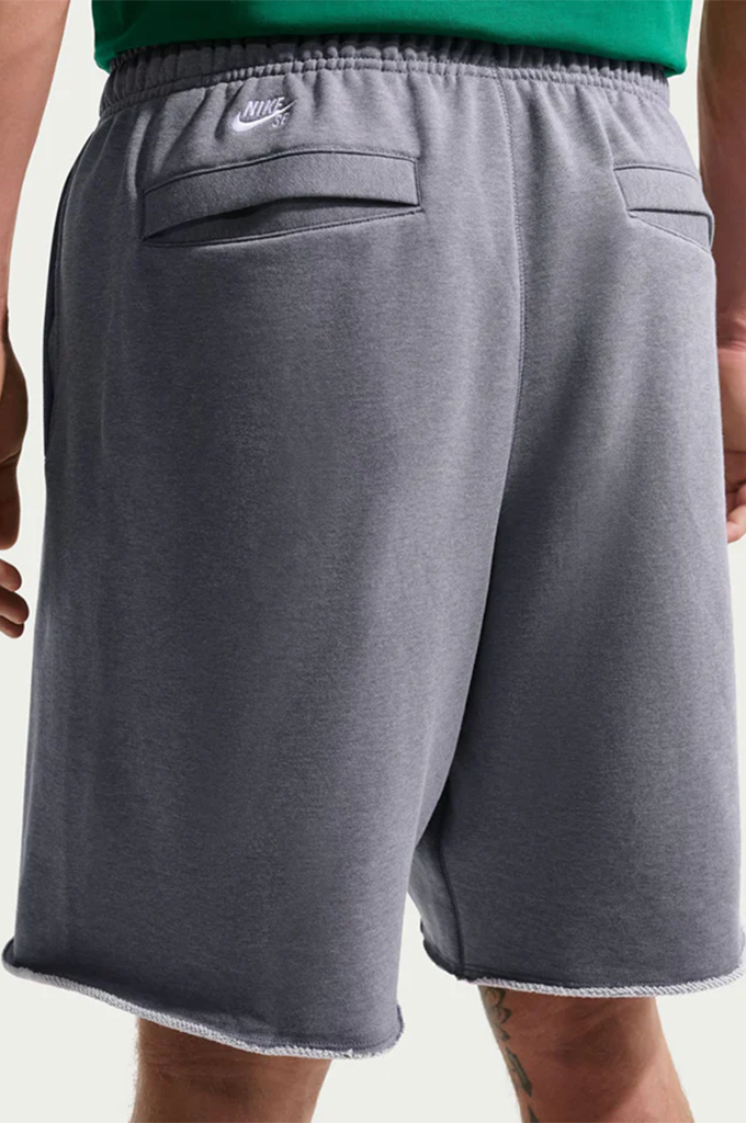 Nike SB Graphic Fleece Shorts