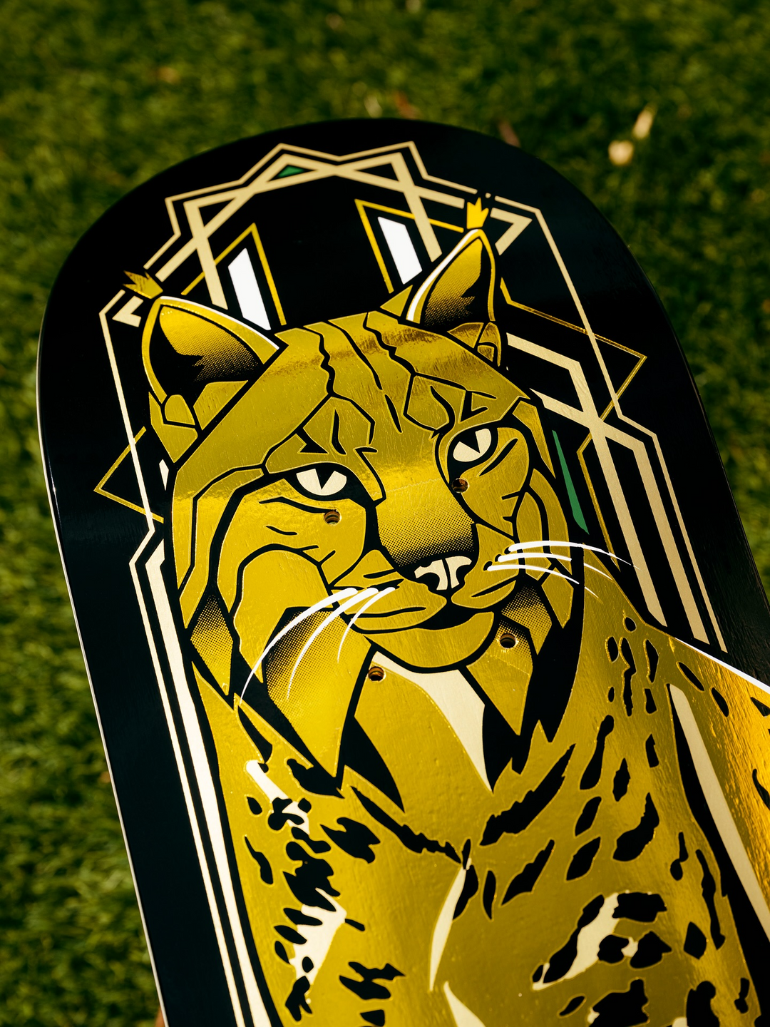 Primitive Mota Pro Lynx Deck Blue 8.0"