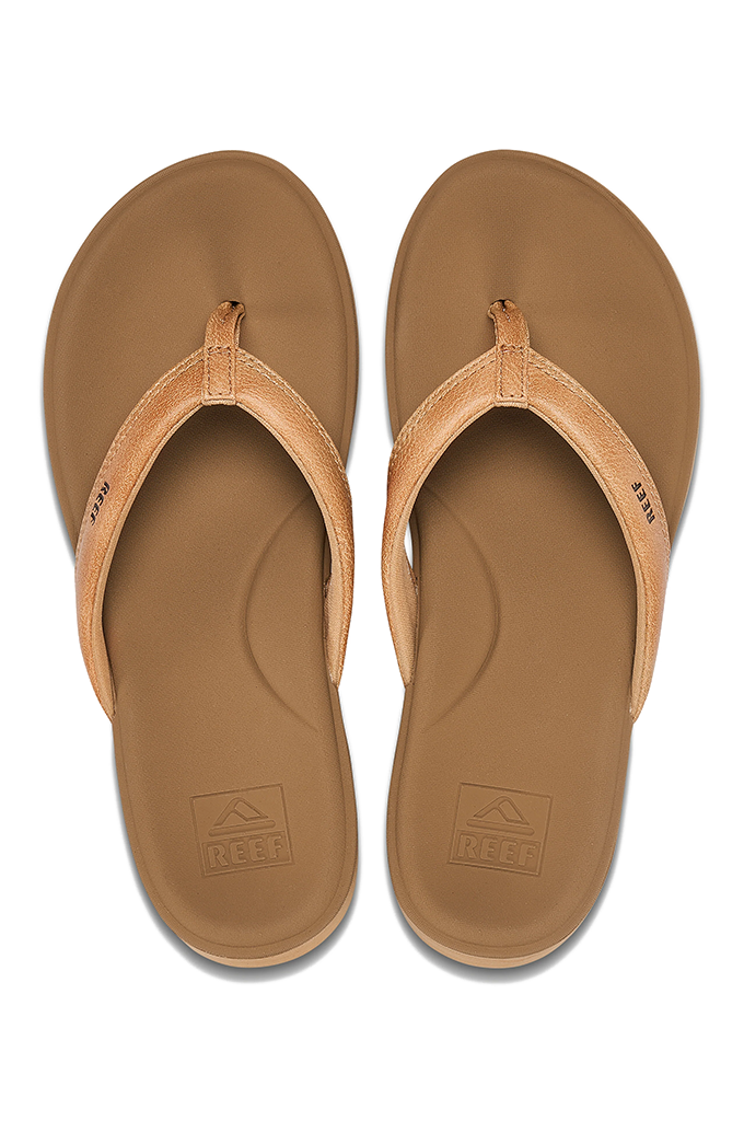 Coral reef flip 2024 flops