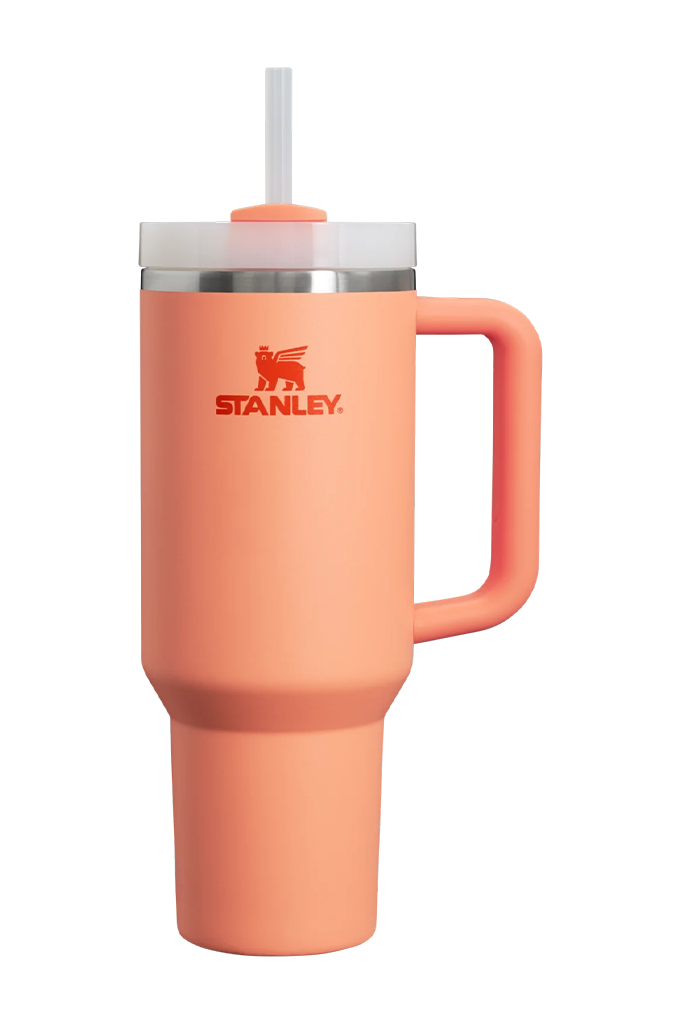 Stanley The Quencher H2.0 FlowState Lid Tumbler 40 oz