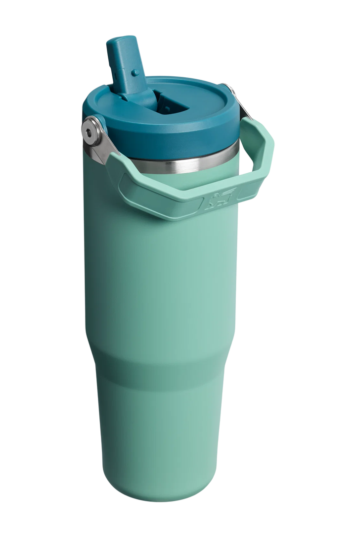 A mint green insulated travel tumbler with a teal lid, carrying handle, and silver metal band, shown on a solid white background.#color_spring-green