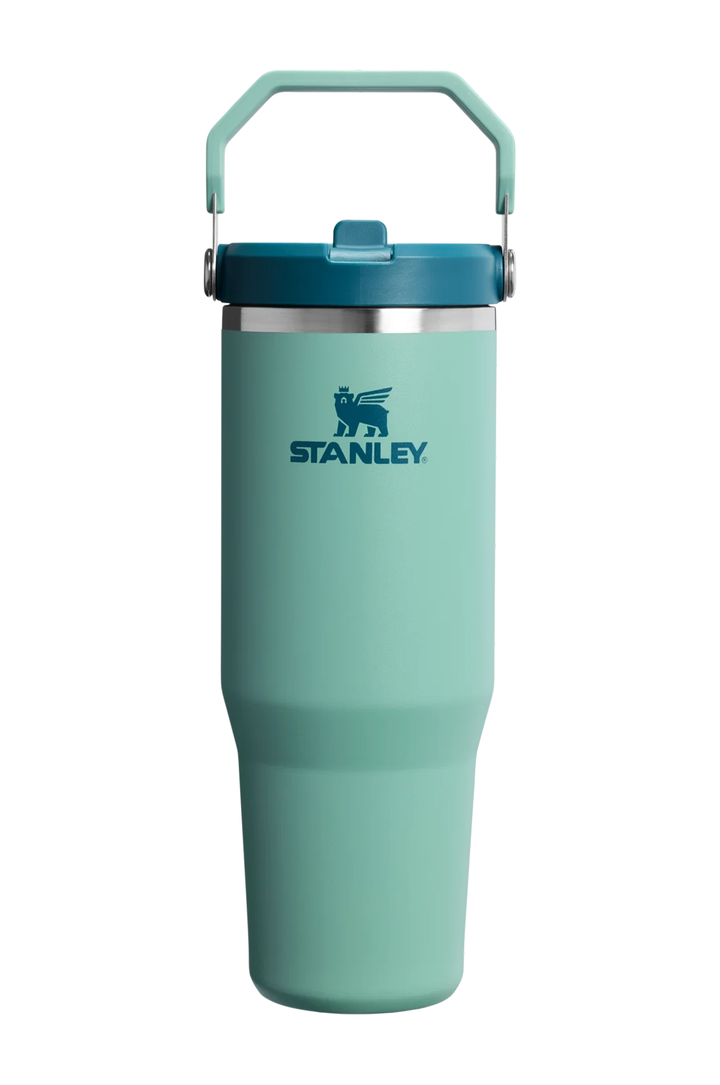 A mint green Stanley insulated tumbler with a matching mint green carrying handle and a teal lid, shown on a plain white background.#color_spring-green