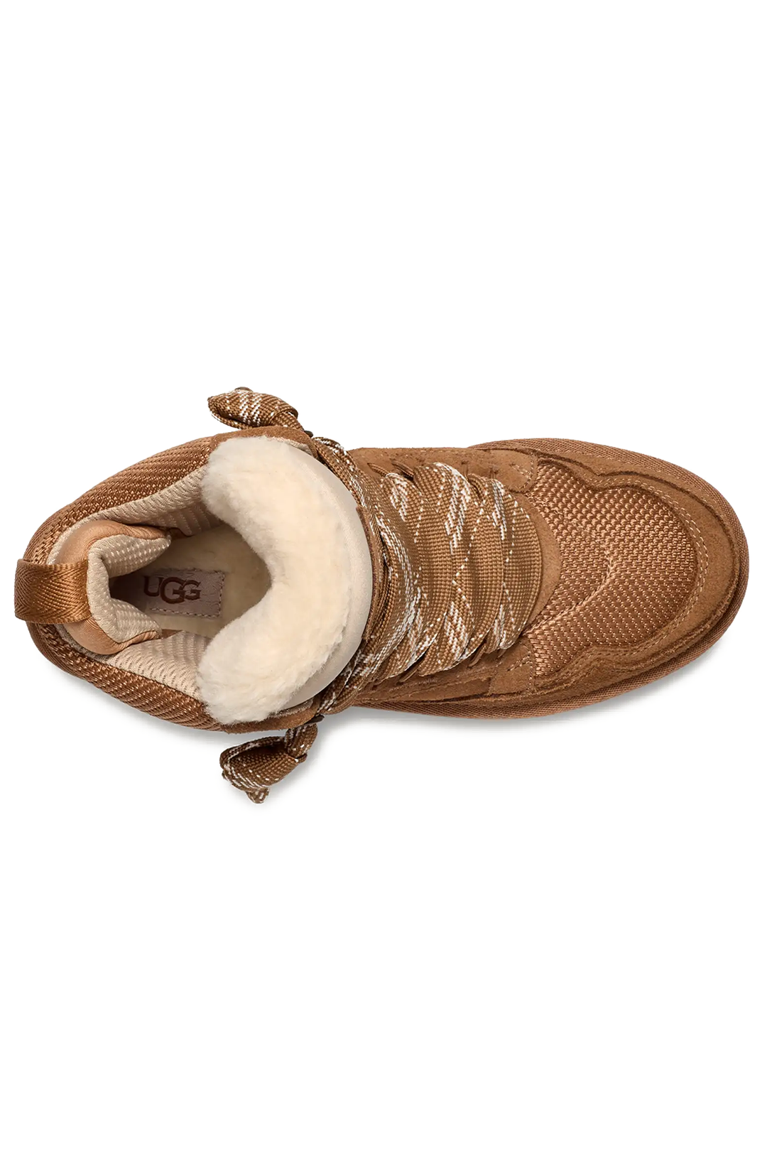 UGG Women's Highmel Sneaker