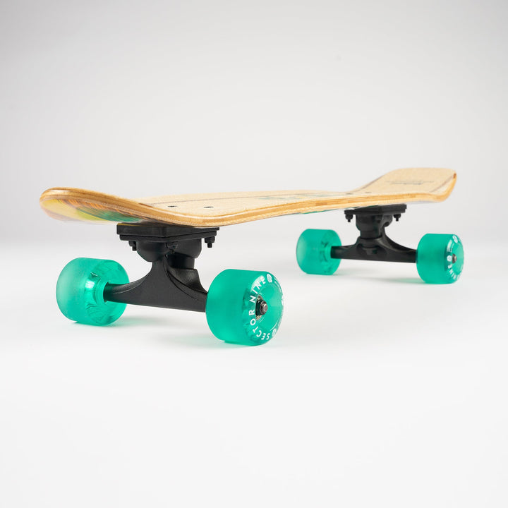 Sector 9 Windansea Complete Longboard