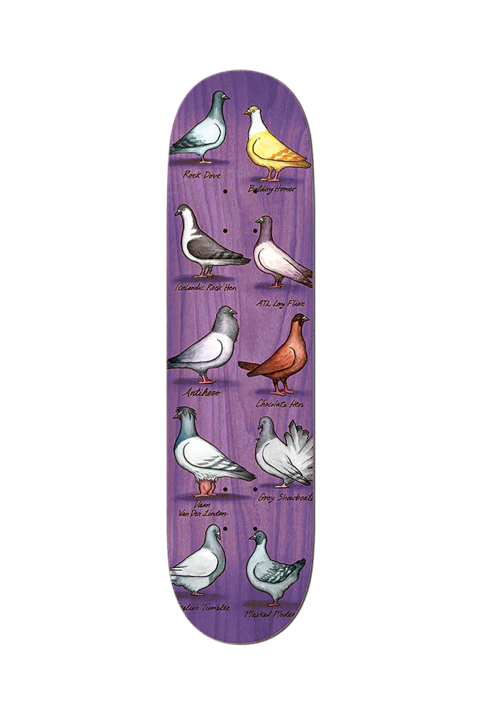 Anti Hero Van Der Linden Show Pigeons Deck 8.25"