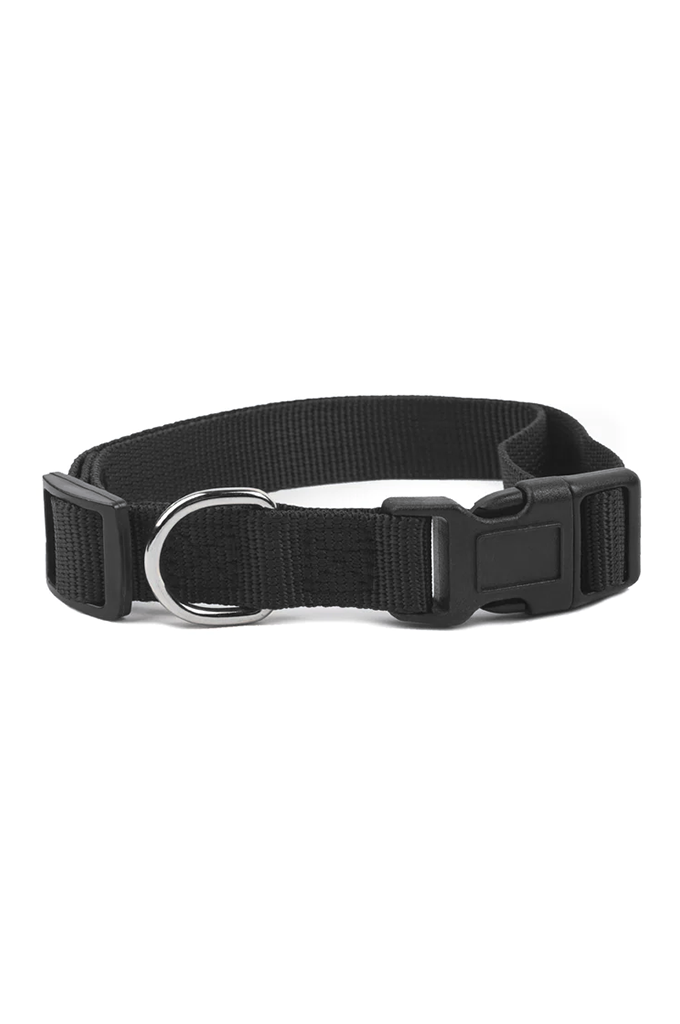 Billionaire Boys Club BB Dog Collar